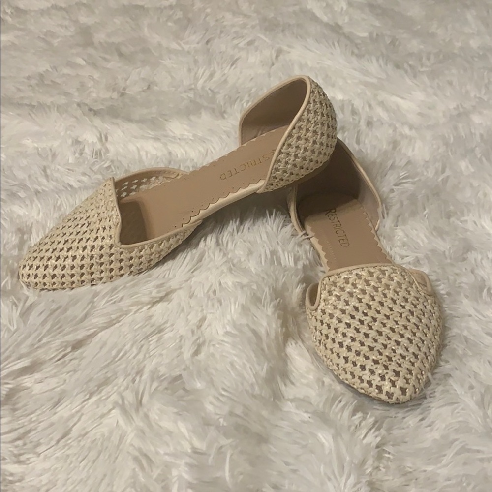 Pointed toe flats NWOT